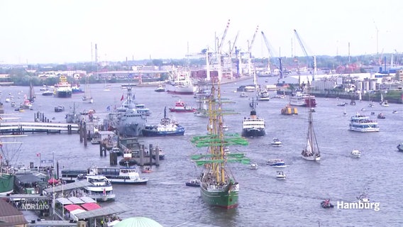 Die Einlaufparade beim Hamburger Hafengeburtstag. © Screenshot 